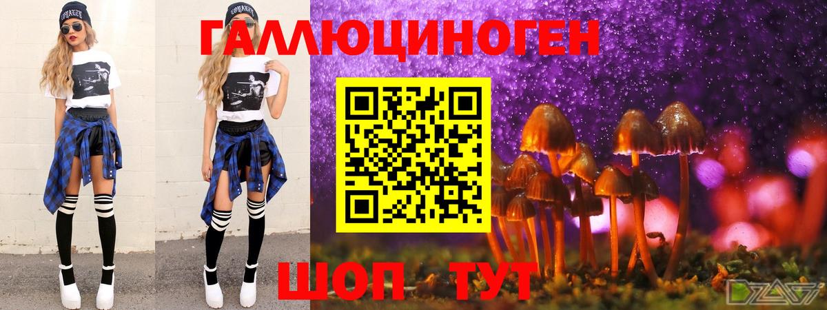 Псилоцибиновые грибы Magic Shrooms  Вход с VPN  Нижнеудинск  Галлюциногенные грибы Magic Shrooms 